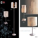 Fashion and Modern Iron Floor Lamp (Ml6616)