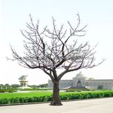 LED Simulation Outdoor Tree Light