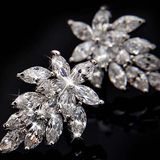 CZ Cubic Zirconia Diamond Crystal Zircon Stud Silver Earrings