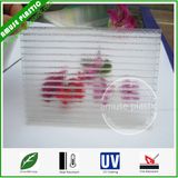 Clear Double Wall Plastic Polycarbonate PC Crystal Hollow Panel