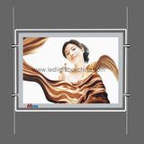 Customized LED Light Box with Ultra Slim LED Light Panel