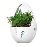 Desktop Aroma Diffuser for Office, Bedroom Use