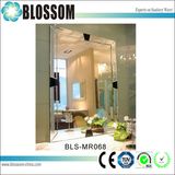 Modern Design Hand Carving Wall Decorative Mirror Art