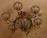 Best Selling Pendant Lamp with Copper & Glass