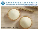 Food Grade Gelatin in 2017
