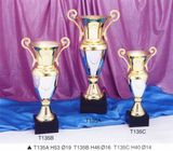 Sports Trophy