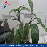 4mm Low- Iron Float Glass with CE&ISO9001