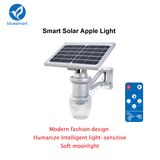 Easy Installation Garden Outdoor Solar LED Street Lighting