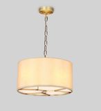 Metal Fabric Pendant Lamp (WHP-310)