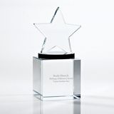 Mini Star Trophy (#78744)