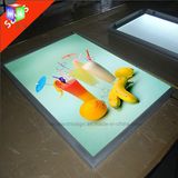 Menu Board LED Slim Light Box with Shop Display