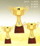 Sports Trophy