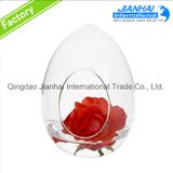 Hot Selling Beautiful Glass Hanging Ball