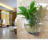 Transparent Wall Mounted Plexiglass Acrylic Sphere Fish Bowl