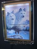 Illuminated Crystal Slim Light Box