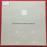 China Natural Stone Building Material Full Body Marble Tile