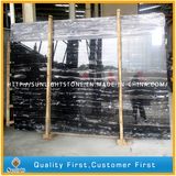 Chinese Popular Black White Silver Dragon Marble (With White Veins)