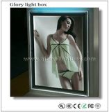 Acrylic Frame/ Illuminated Crytal LED Lighting Box in A1-A4size