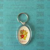 Oval Shape Plastic Keychain with Custom Logo (KYC23076)