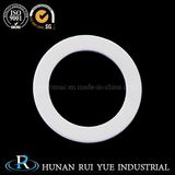 Pyrolytic Boron Nitride Ceramic Ring for Electrical Insulator