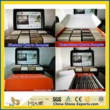 Artificial White/Black/Grey/Yellow/Crystal Engineered Quartz Stone for Kitchen/Bathroom/Wall/Floor/Countertop