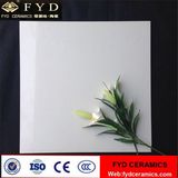 3D Inkjet Printing Floor Tile Super White (YD8B311)
