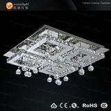 Modern Crystal Ceiling Lighting, LED Ceiling Lamp Fixture Light (OM814-60)