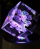 Elegant High Grade K9 Crystal Custom Photos in China