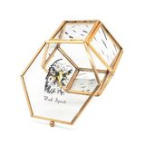 China OEM Glass Elegant Jewelry Box Supplier (Jb-1082)