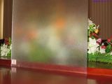 3mm, 4mm, 5mm, 6mm Obscure Building Glass (JINBO)