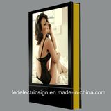Outdoor Stand of Double-Sided Advertising Light Boxes