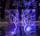 Acrylic Display Stands for Centerpieces Flower Stands