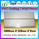 7*250mm Light Ash Woodgrain Pattern Decoration PVC Panel Wall Panel