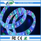 Two Years Warranty 4 Wire Flat Flexible LED Rope Light