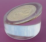 Acrylic Paper Weight with Coin (ASNY-JL-PW-050401)