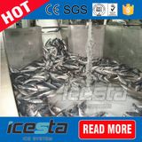 Trade Assurance Air-Cooled Liquid Ice Plant for Food Fresh Keeping