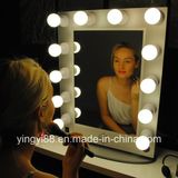 Custom Acrylic Vanity Mirror with Lights