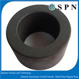 Hard Ferrite/Ceramic Sintered Multipole Ring Permanent Magnet for Micro Motor