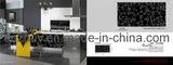 American Style for Kitchen Cabinet (ZH-C802)