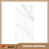 Porcelain Polished Ceramic Floor Tiles (2-61295)