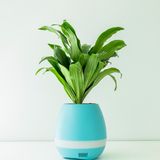 Bluetooth Speaker, Mini Air Purifier Supporting Negative Ions, Aroma Crystal and Night Light