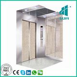 Sum Passenger Elevator with Good Quality Hot Sail Competitive