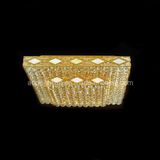2011 Modern Ceiling Lamp (AQ-5033A)