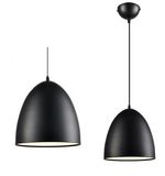 Aluminum Pendant Lamp (WHP-881)