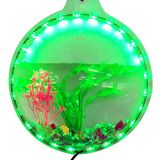 Acrylic Fish Bubble Wall Mounted Fish Bowl