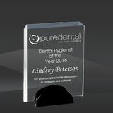 Rectangle Bevel Crystal Award (SCT-K0406, SCT-K0408, SCT-K0410)