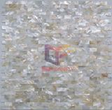 Natural Color High Quality Shell Mosaic Tile (CFP118)