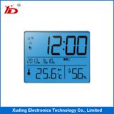 Customerized Stn Type Monochrome Small Size LCD Screen Display