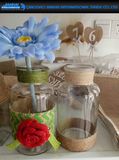 Creative Design Transparent Round Glass Flower Vase with String Decoration