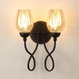Metal Glass Wall Lamp (WHW-912)
